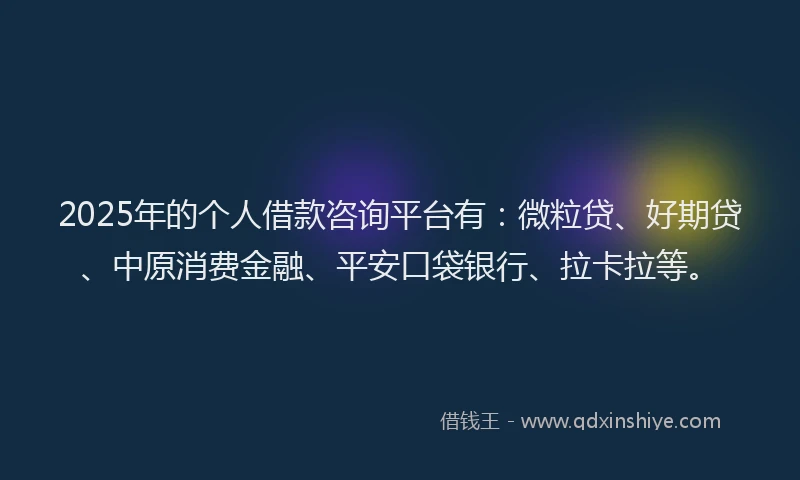 2025年的个人借款咨询平台有：微粒贷、好期贷、中原消费金融、平安口袋银行、拉卡拉等。