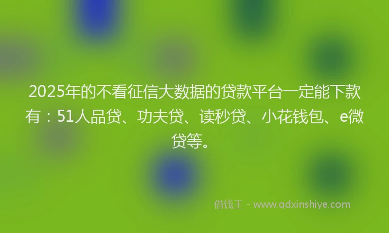 2025年的不看征信大数据的贷款平台一定能下款有：51人品贷、功夫贷、读秒贷、小花钱包、e微贷等。