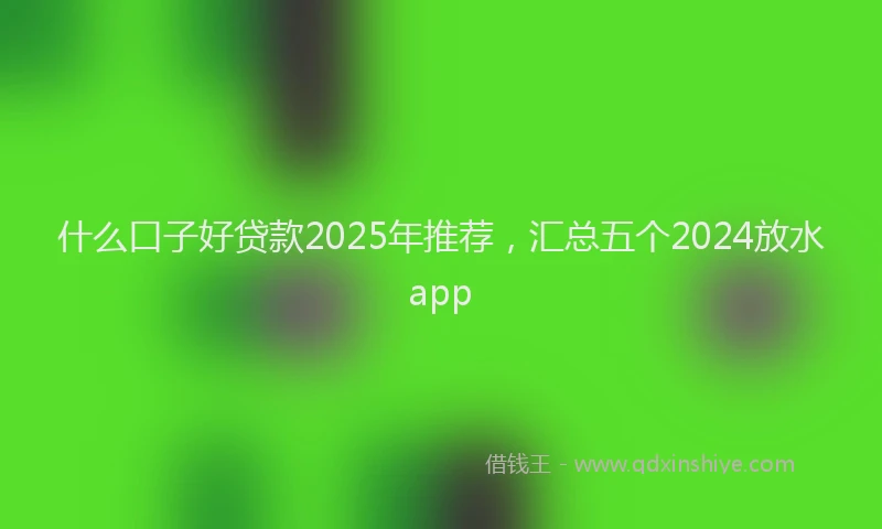 什么口子好贷款2025年推荐，汇总五个2024放水app