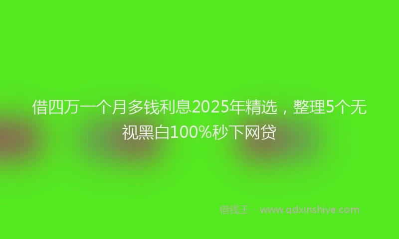 借四万一个月多钱利息2025年精选，整理5个无视黑白100%秒下网贷