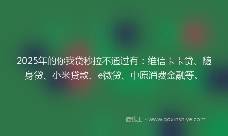 2025年的你我贷秒拉不通过有：维信卡卡贷、随身贷、小米贷款、e微贷、中原消费金融等。