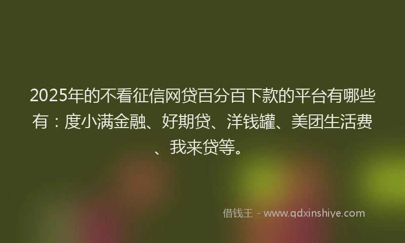 2025年的不看征信网贷百分百下款的平台有哪些有：度小满金融、好期贷、洋钱罐、美团生活费、我来贷等。