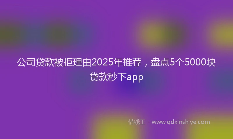 公司贷款被拒理由2025年推荐，盘点5个5000块贷款秒下app