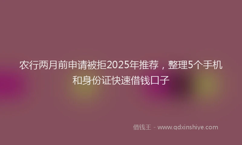 农行两月前申请被拒2025年推荐，整理5个手机和身份证快速借钱口子