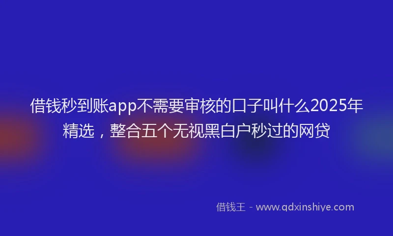 借钱秒到账app不需要审核的口子叫什么2025年精选，整合五个无视黑白户秒过的网贷