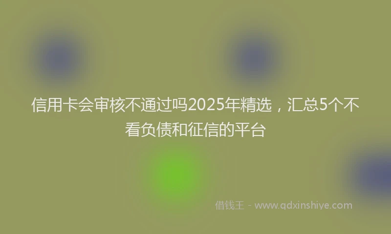 信用卡会审核不通过吗2025年精选，汇总5个不看负债和征信的平台