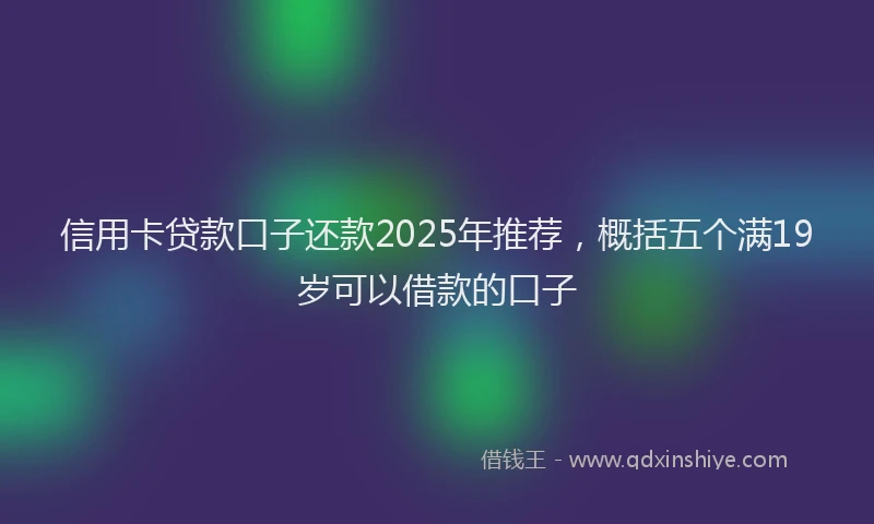 信用卡贷款口子还款2025年推荐，概括五个满19岁可以借款的口子