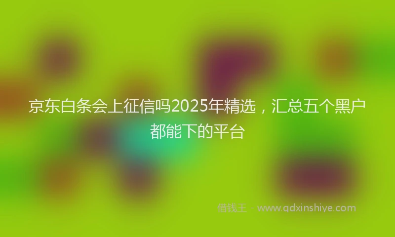 京东白条会上征信吗2025年精选，汇总五个黑户都能下的平台
