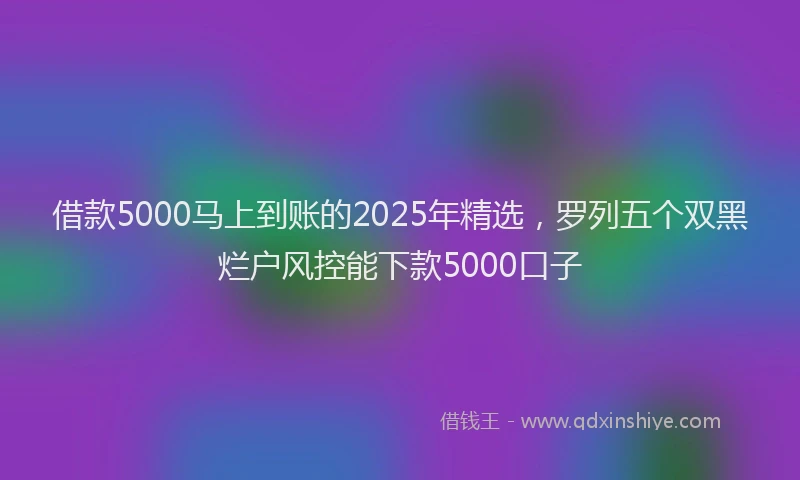 借款5000马上到账的2025年精选，罗列五个双黑烂户风控能下款5000口子