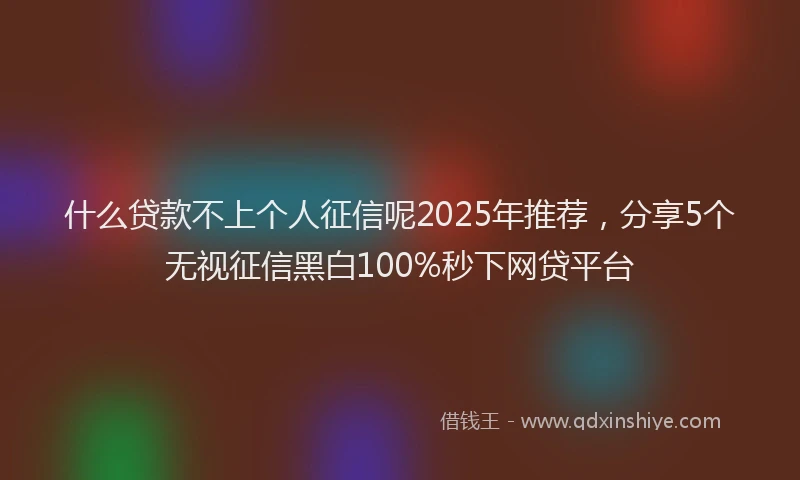 什么贷款不上个人征信呢2025年推荐，分享5个无视征信黑白100%秒下网贷平台