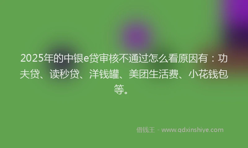 2025年的中银e贷审核不通过怎么看原因有：功夫贷、读秒贷、洋钱罐、美团生活费、小花钱包等。