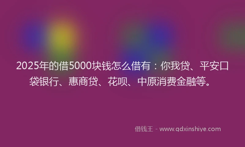 2025年的借5000块钱怎么借有：你我贷、平安口袋银行、惠商贷、花呗、中原消费金融等。