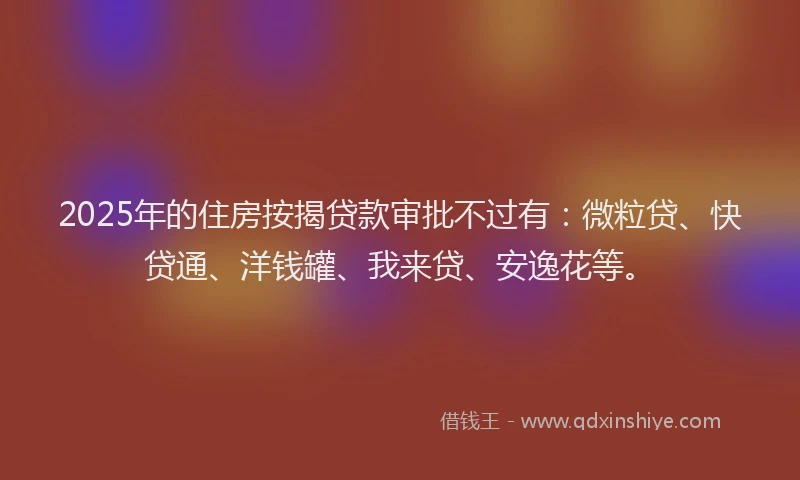 2025年的住房按揭贷款审批不过有：微粒贷、快贷通、洋钱罐、我来贷、安逸花等。