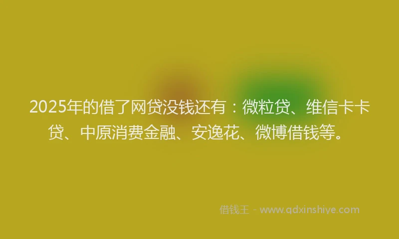 2025年的借了网贷没钱还有：微粒贷、维信卡卡贷、中原消费金融、安逸花、微博借钱等。