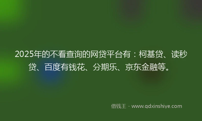 2025年的不看查询的网贷平台有：柯基贷、读秒贷、百度有钱花、分期乐、京东金融等。