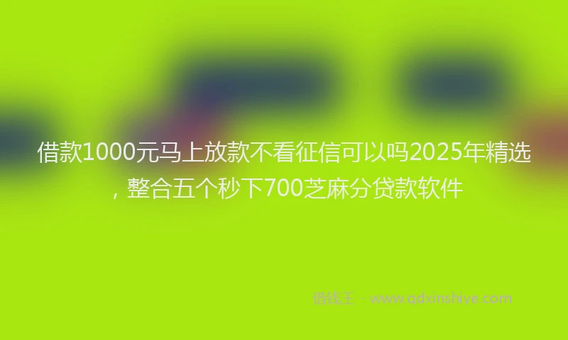 借款1000元马上放款不看征信可以吗2025年精选，整合五个秒下700芝麻分贷款软件