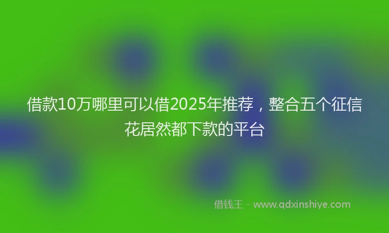 借款10万哪里可以借2025年推荐，整合五个征信花居然都下款的平台