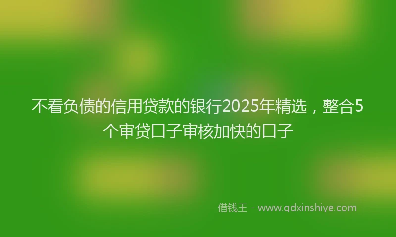 不看负债的信用贷款的银行2025年精选，整合5个审贷口子审核加快的口子