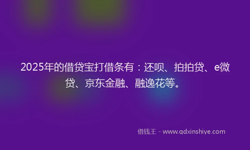 2025年的借贷宝打借条有：还呗、拍拍贷、e微贷、京东金融、融逸花等。
