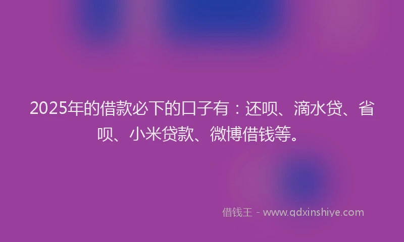 2025年的借款必下的口子有：还呗、滴水贷、省呗、小米贷款、微博借钱等。
