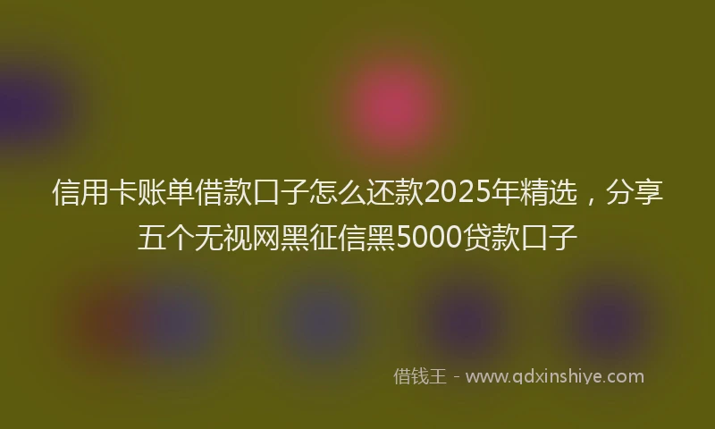 信用卡账单借款口子怎么还款2025年精选，分享五个无视网黑征信黑5000贷款口子