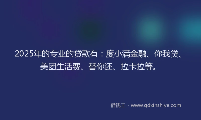 2025年的专业的贷款有：度小满金融、你我贷、美团生活费、替你还、拉卡拉等。