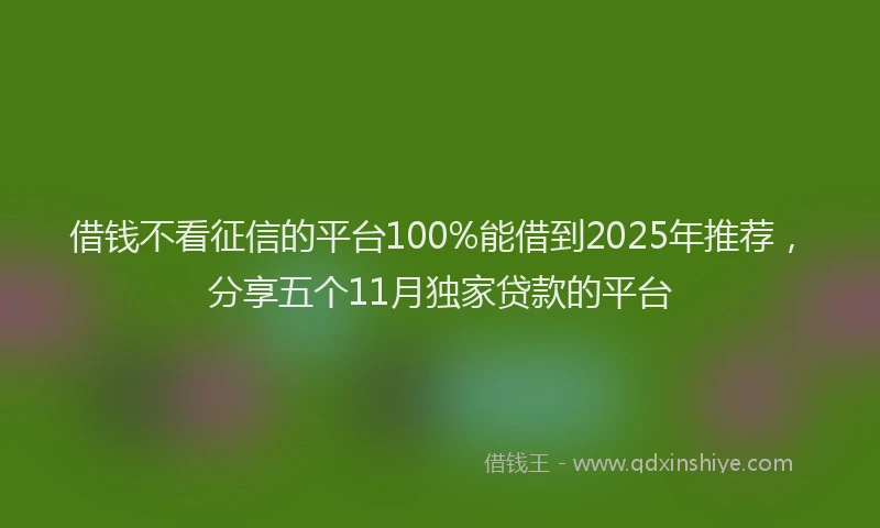 借钱不看征信的平台100%能借到2025年推荐，分享五个11月独家贷款的平台