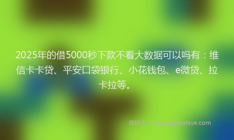 2025年的借5000秒下款不看大数据可以吗有：维信卡卡贷、平安口袋银行、小花钱包、e微贷、拉卡拉等。