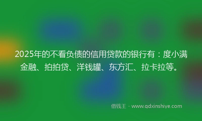 2025年的不看负债的信用贷款的银行有：度小满金融、拍拍贷、洋钱罐、东方汇、拉卡拉等。