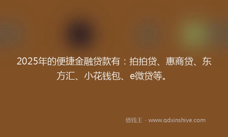2025年的便捷金融贷款有：拍拍贷、惠商贷、东方汇、小花钱包、e微贷等。
