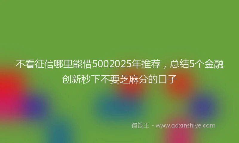不看征信哪里能借5002025年推荐，总结5个金融创新秒下不要芝麻分的口子