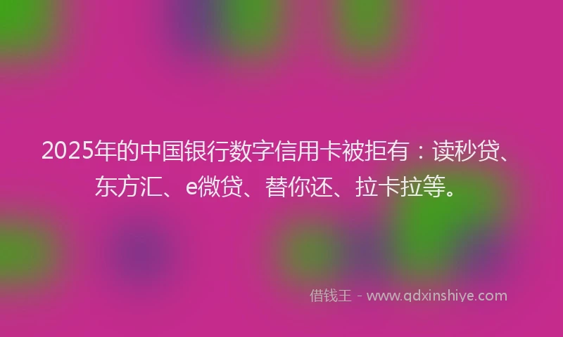2025年的中国银行数字信用卡被拒有：读秒贷、东方汇、e微贷、替你还、拉卡拉等。