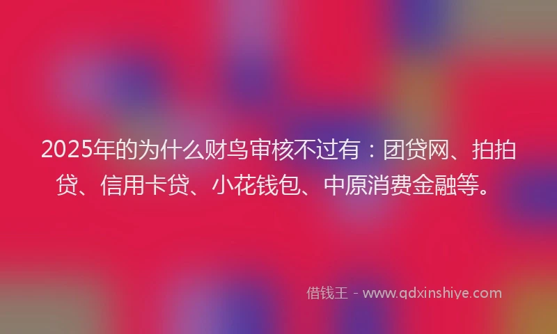 2025年的为什么财鸟审核不过有：团贷网、拍拍贷、信用卡贷、小花钱包、中原消费金融等。