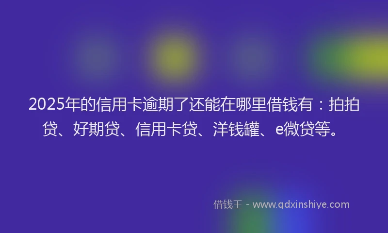 2025年的信用卡逾期了还能在哪里借钱有：拍拍贷、好期贷、信用卡贷、洋钱罐、e微贷等。