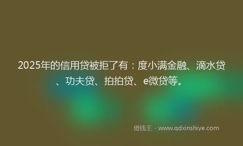 2025年的信用贷被拒了有：度小满金融、滴水贷、功夫贷、拍拍贷、e微贷等。