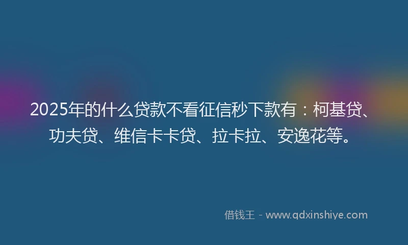 2025年的什么贷款不看征信秒下款有：柯基贷、功夫贷、维信卡卡贷、拉卡拉、安逸花等。