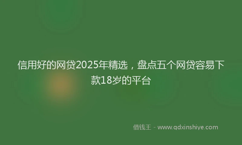 信用好的网贷2025年精选，盘点五个网贷容易下款18岁的平台