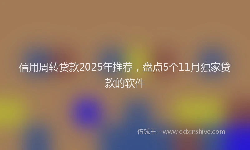 信用周转贷款2025年推荐，盘点5个11月独家贷款的软件