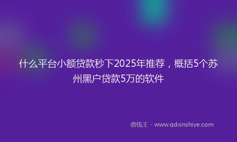 什么平台小额贷款秒下2025年推荐，概括5个苏州黑户贷款5万的软件