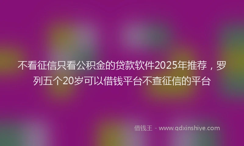 不看征信只看公积金的贷款软件2025年推荐，罗列五个20岁可以借钱平台不查征信的平台