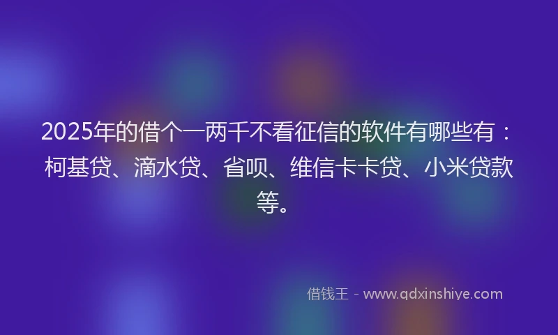 2025年的借个一两千不看征信的软件有哪些有：柯基贷、滴水贷、省呗、维信卡卡贷、小米贷款等。