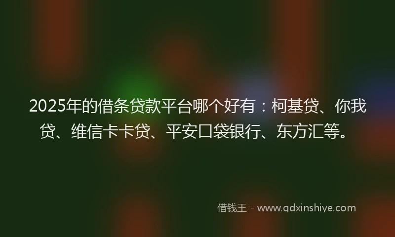 2025年的借条贷款平台哪个好有：柯基贷、你我贷、维信卡卡贷、平安口袋银行、东方汇等。
