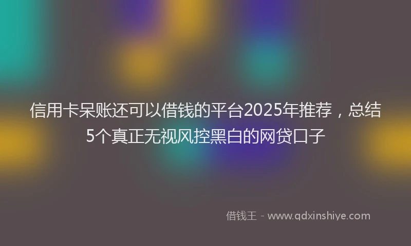 信用卡呆账还可以借钱的平台2025年推荐，总结5个真正无视风控黑白的网贷口子