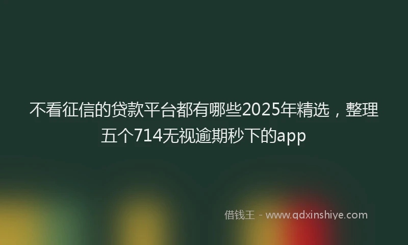 不看征信的贷款平台都有哪些2025年精选，整理五个714无视逾期秒下的app