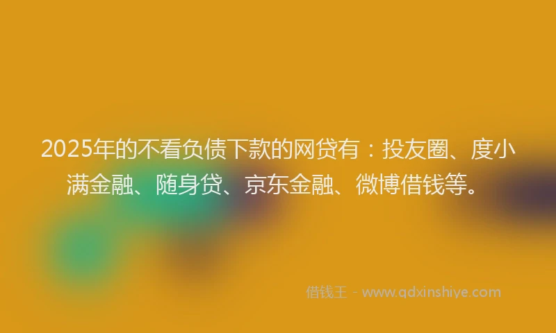 2025年的不看负债下款的网贷有：投友圈、度小满金融、随身贷、京东金融、微博借钱等。