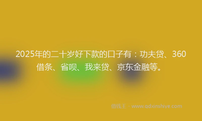 2025年的二十岁好下款的口子有：功夫贷、360借条、省呗、我来贷、京东金融等。