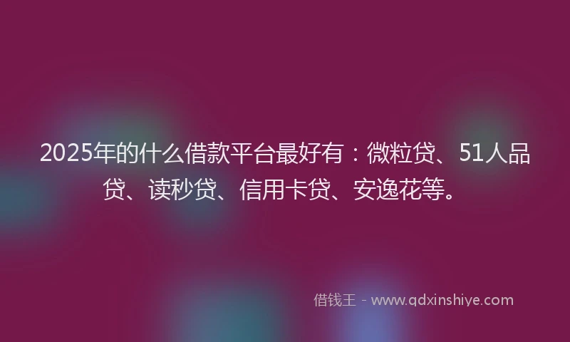 2025年的什么借款平台最好有：微粒贷、51人品贷、读秒贷、信用卡贷、安逸花等。
