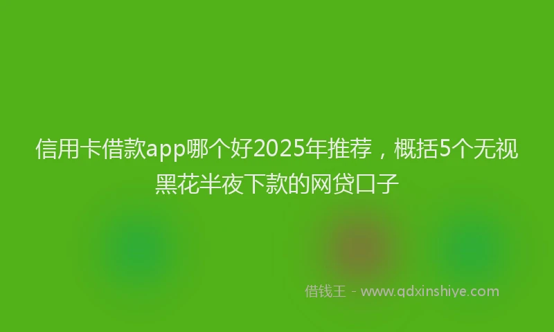 信用卡借款app哪个好2025年推荐，概括5个无视黑花半夜下款的网贷口子