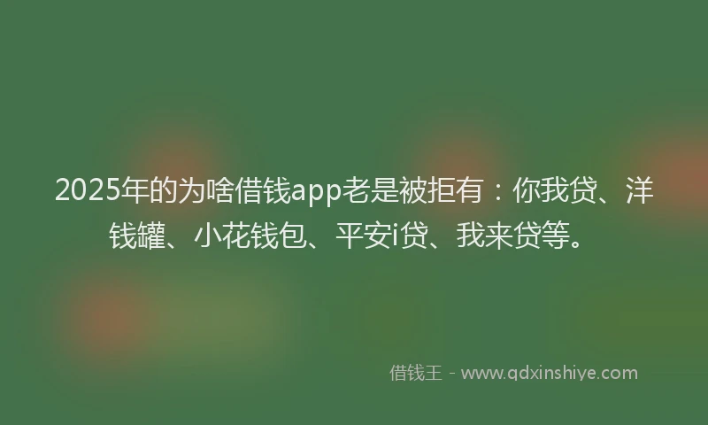 2025年的为啥借钱app老是被拒有：你我贷、洋钱罐、小花钱包、平安i贷、我来贷等。