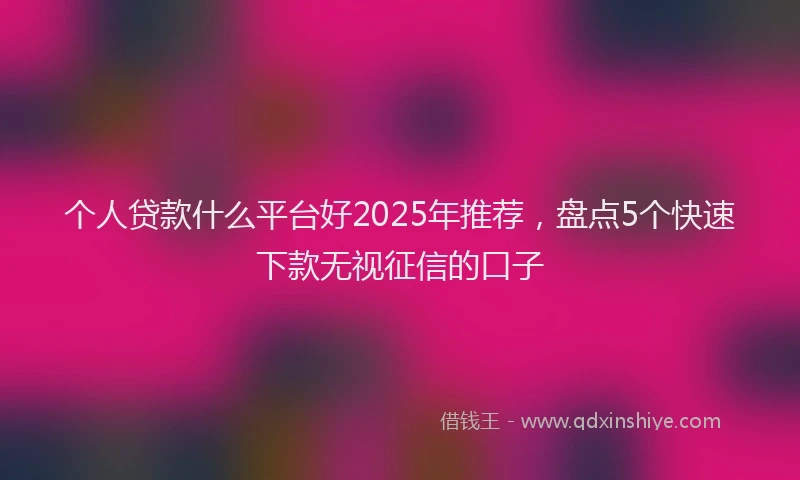 个人贷款什么平台好2025年推荐，盘点5个快速下款无视征信的口子